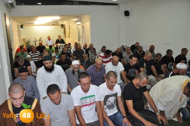 tarawee7 fateh mosqueeq (17).JPG